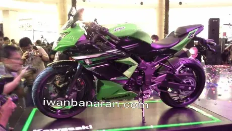 ninja 250 mono