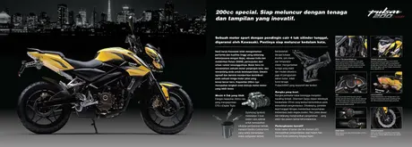 inside_data P200