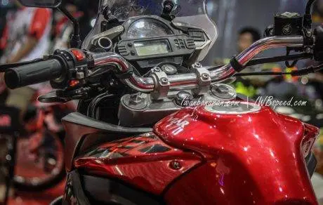 Viar adventure 250 (15)