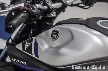 Yamaha MT25 (51)