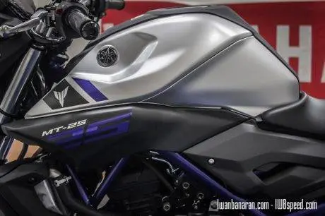 Yamaha MT25 (20)