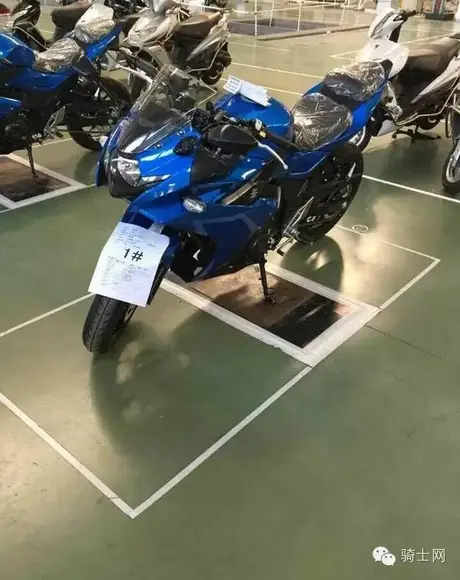 suzuki GW250F (3)