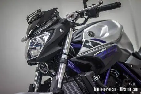 Yamaha MT25 (62)