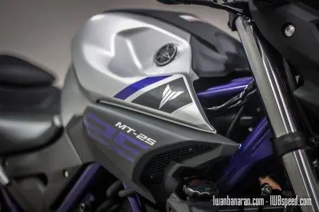 Yamaha MT25 (79)