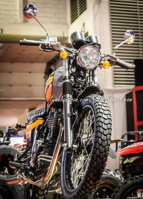 Viar Scrambler 400 (8)