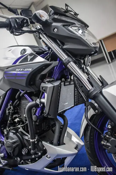 Yamaha MT25 (9)