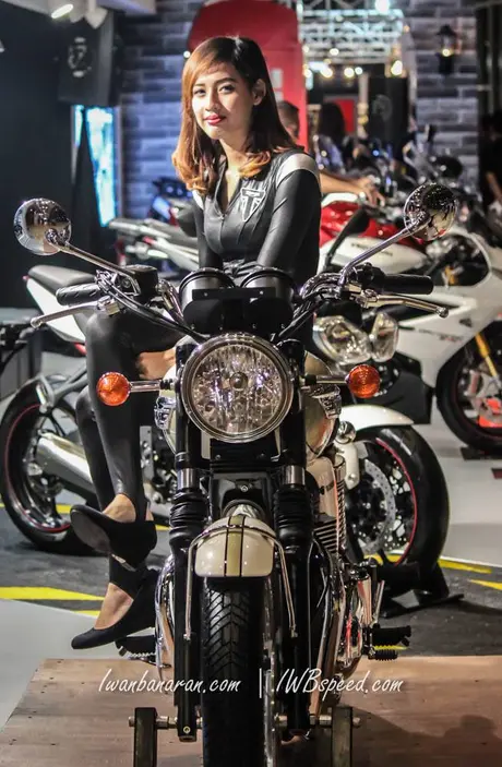 Triumph Tiger (4)
