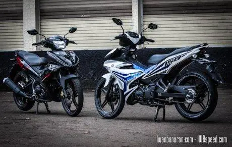 MX_king