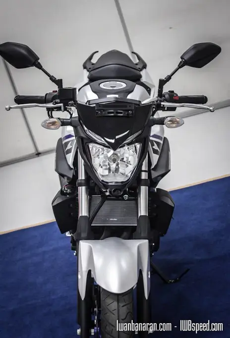 Yamaha MT25 (30)