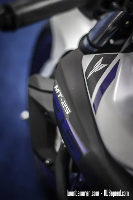 Yamaha MT25 (47)