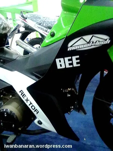 Kawasaki Edge racing edition??….