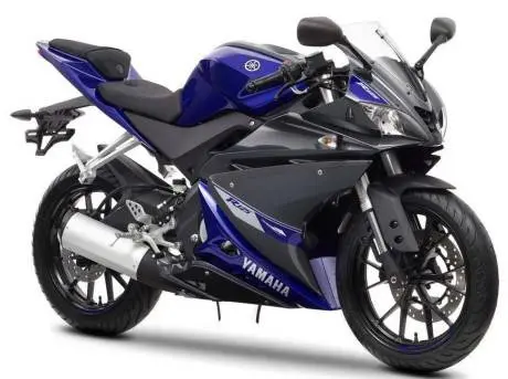 wpid-2014-yamaha-yzf-r125-17.jpg