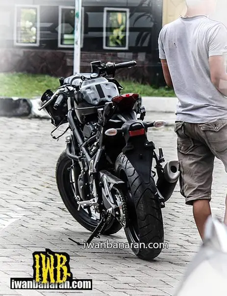 YZF_R25 naked (1)