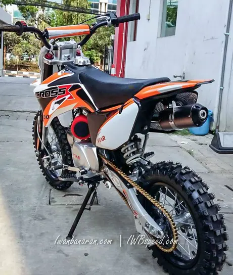 Viar cross X100 (1)