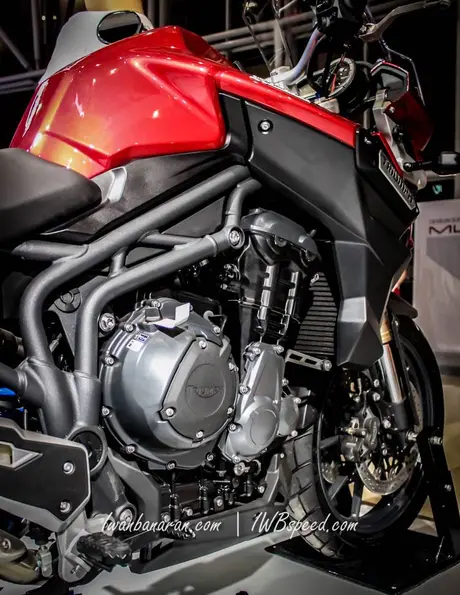 Triumph Tiger (12)