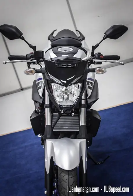 Yamaha MT25 (30)