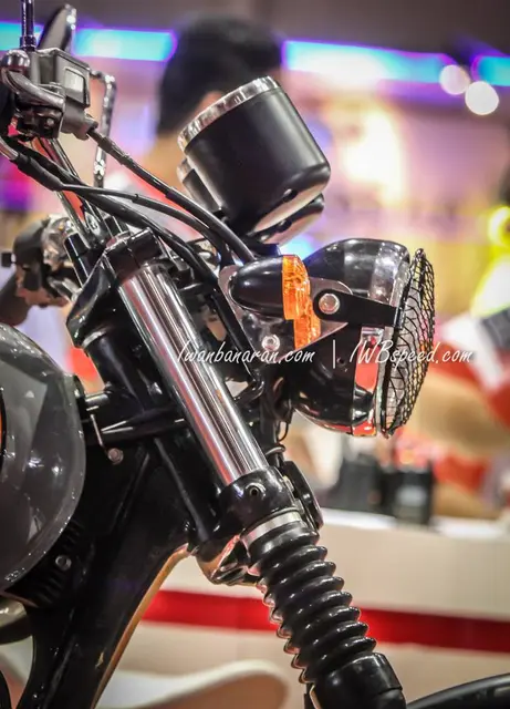 Viar Scrambler 400 (13)