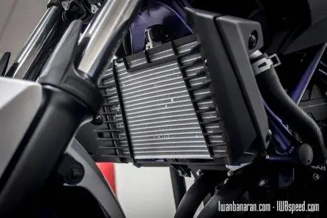 Yamaha MT25 (15)