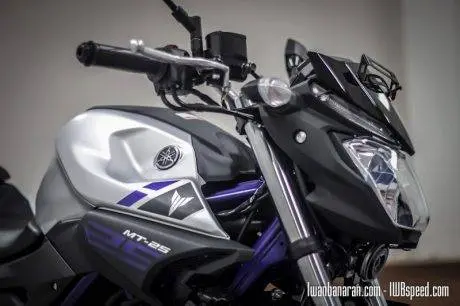 Yamaha MT25 (81)