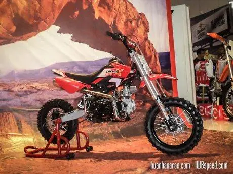 viar mini moto (4 of 4) (2)
