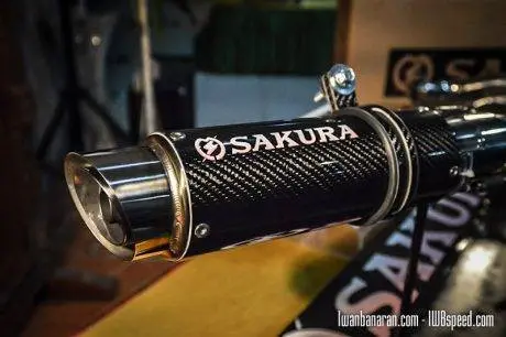 sakura-33