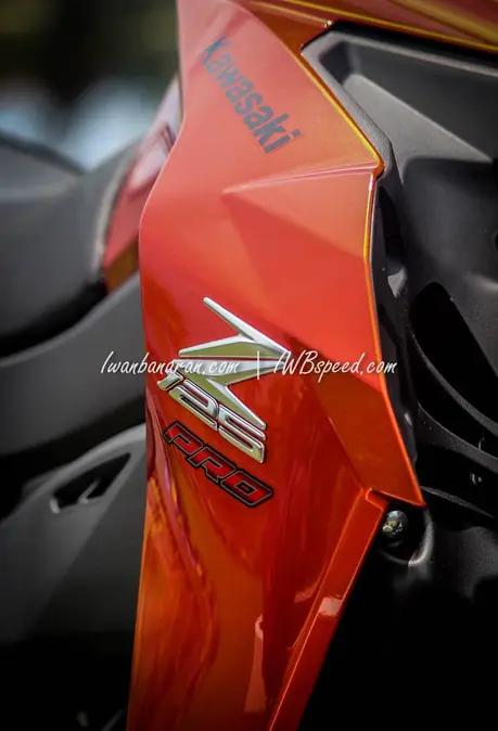 kawasaki Z125 (45)