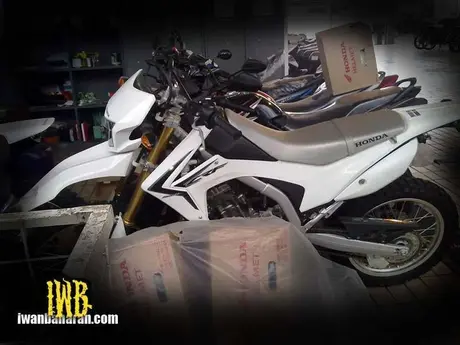 CRF