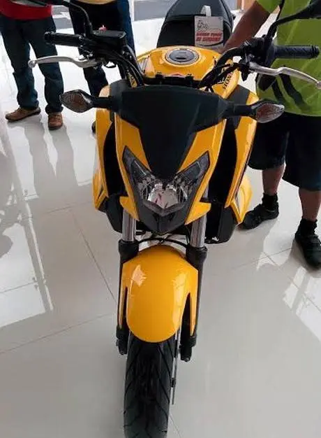 moge Honda (3)