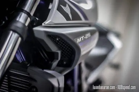 Yamaha MT25 (82)