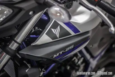 Yamaha MT25 (83)