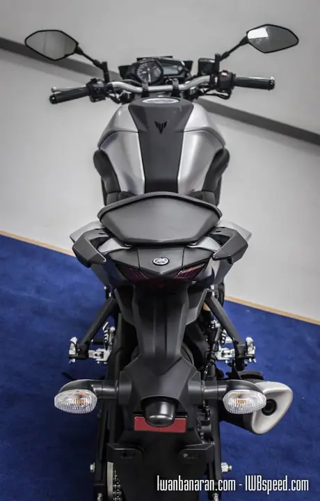 Yamaha MT25 (32)