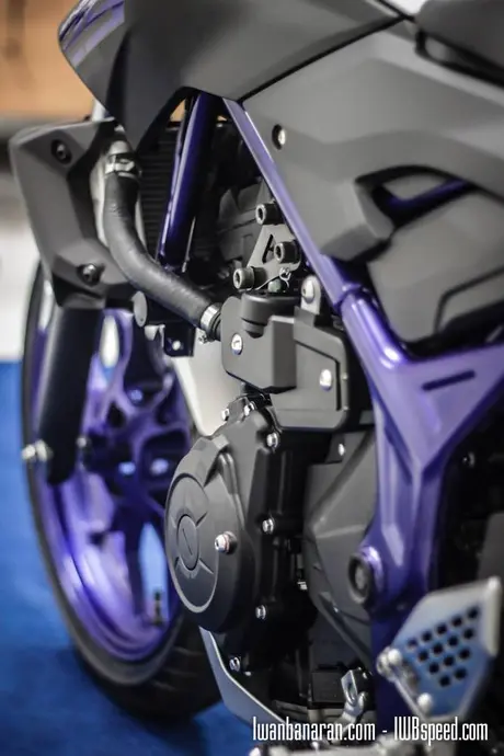 Yamaha MT25 (54)
