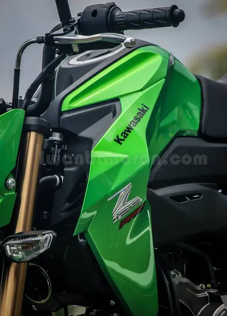 kawasaki Z125 (23)