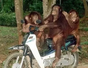 Ajaib — motor yang hilang telah ketemu