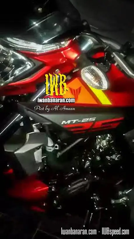 MT25 high