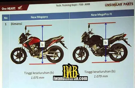 Verza 120