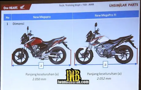 Verza 119