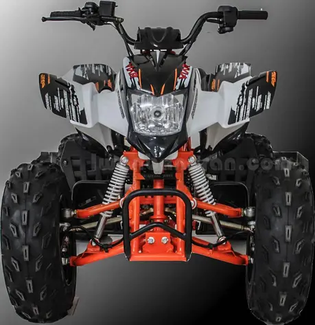 ATV Viar 2016 (3)