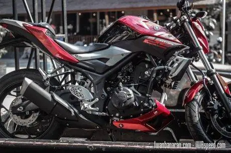 Yamaha MT25 red (6)