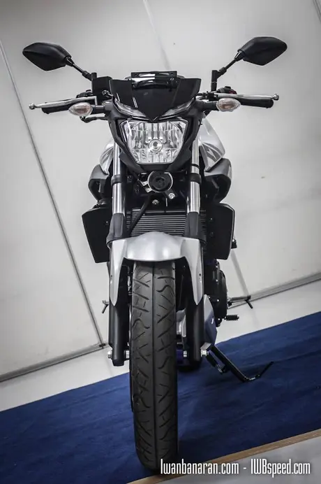Yamaha MT25 (24)