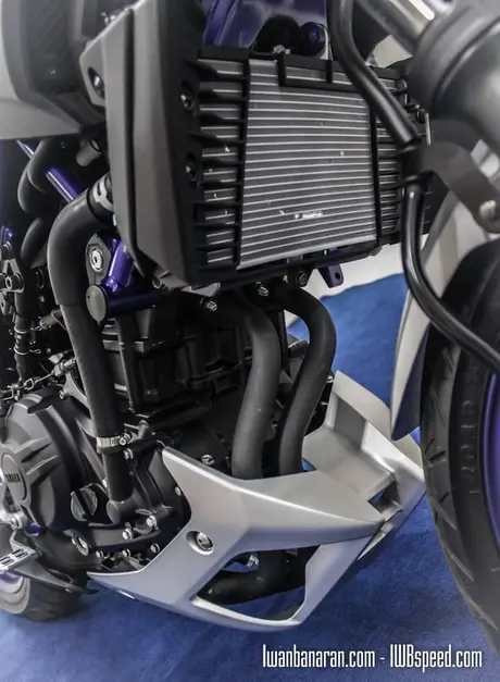 Yamaha MT25 (8)