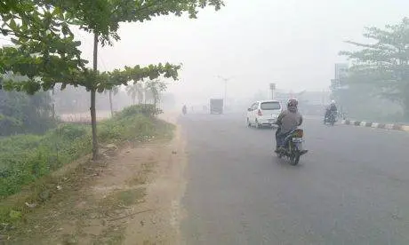kabut asap (4)