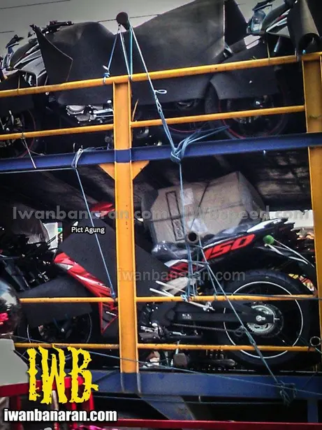 Jupiter150_MX King (1)