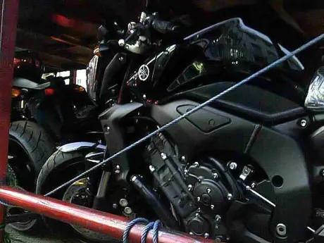 FZ1