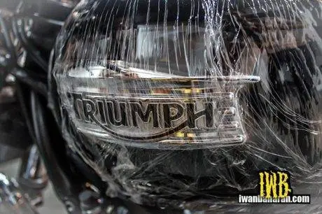 Triumph (3)