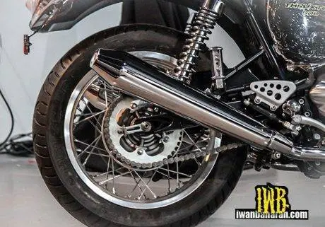 Triumph (11)