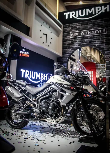 Triumph (1)