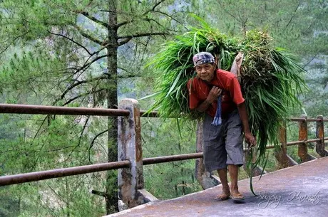 Modiarrrr… — semua koq sudah pada naik yak