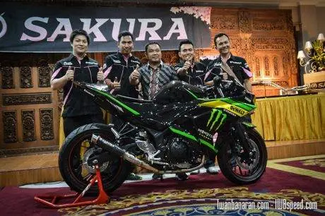 sakura-18