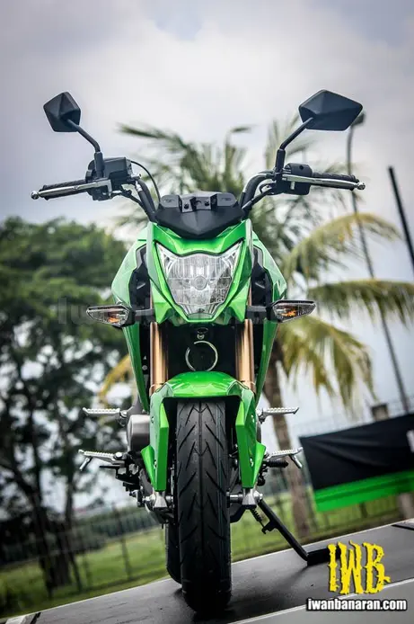 kawasaki Z125 (16)-2